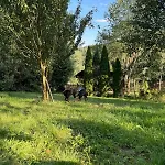 Dom W Gorach Saganowka Beskidy * Międzybrodzie Bialskie