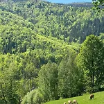 Villa Dom W Gorach Saganowka Beskidy *