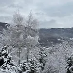 Dom W Gorach Saganowka Beskidy