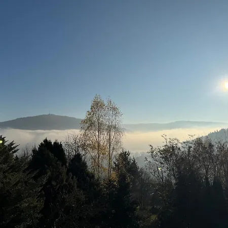 Villa Dom W Gorach Saganowka Beskidy *