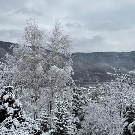 Dom W Gorach Saganowka Beskidy Villa Miedzybrodzie Bialskie