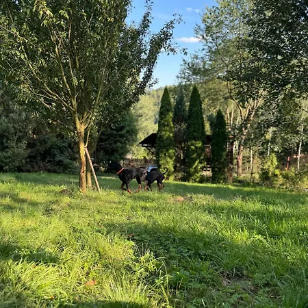 Dom W Gorach Saganowka Beskidy * Międzybrodzie Bialskie