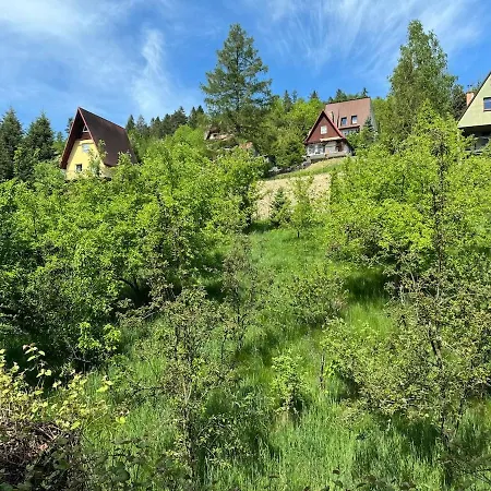 Villa Dom W Gorach Saganowka Beskidy Miedzybrodzie Bialskie