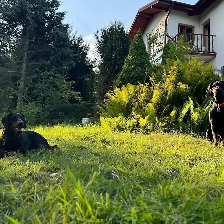 Dom W Gorach Saganowka Beskidy Villa