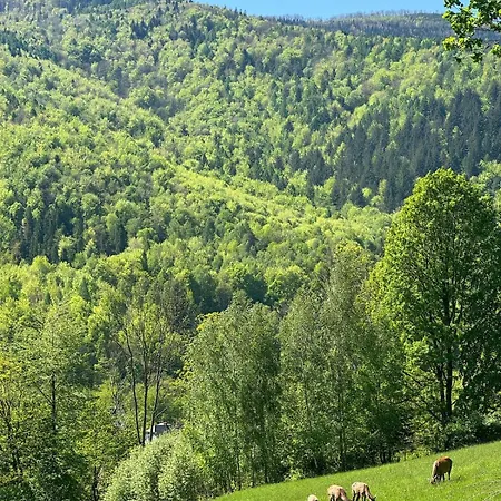 Вилла Dom W Gorach Saganowka Beskidy *