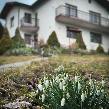 Villa Dom W Gorach Saganowka Beskidy