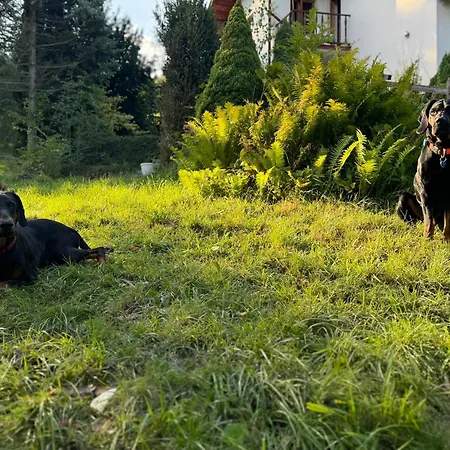 Dom W Gorach Saganowka Beskidy