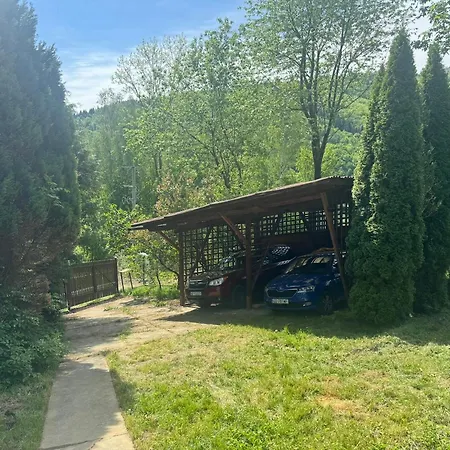 Dom W Gorach Saganowka Beskidy * Międzybrodzie Bialskie