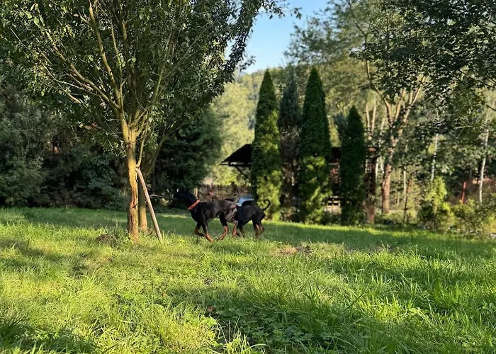 Dom W Gorach Saganowka Beskidy * Międzybrodzie Bialskie