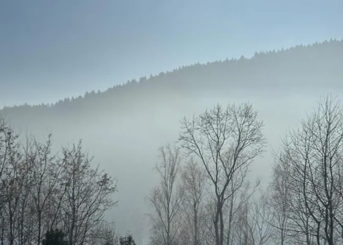 ヴィラ Dom W Gorach Saganowka Beskidy