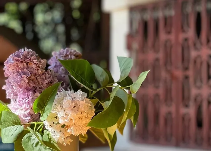 ヴィラ Dom W Gorach Saganowka Beskidy