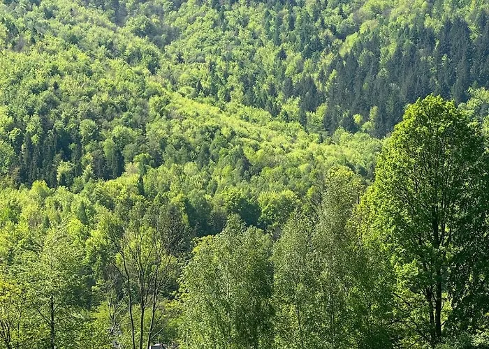 ヴィラ Dom W Gorach Saganowka Beskidy *