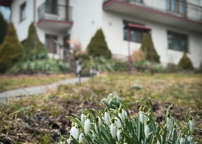 ヴィラ Dom W Gorach Saganowka Beskidy