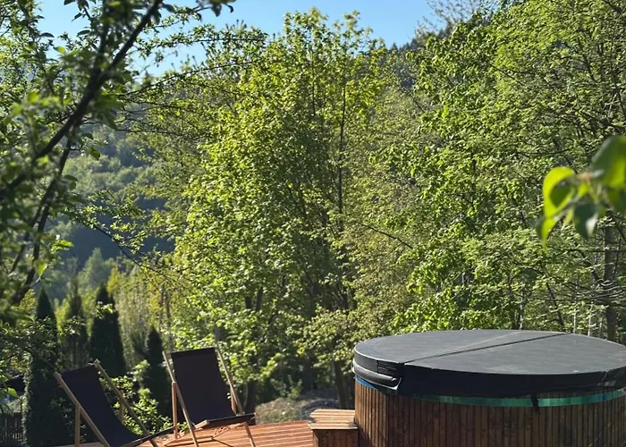 Dom W Gorach Saganowka Beskidy * Międzybrodzie Bialskie