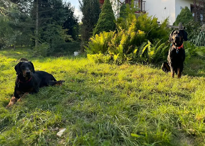 Dom W Gorach Saganowka Beskidy