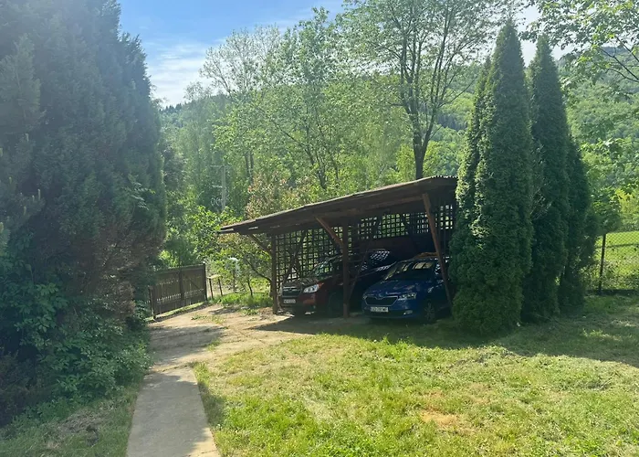 Dom W Gorach Saganowka Beskidy * Miedzybrodzie Bialskie