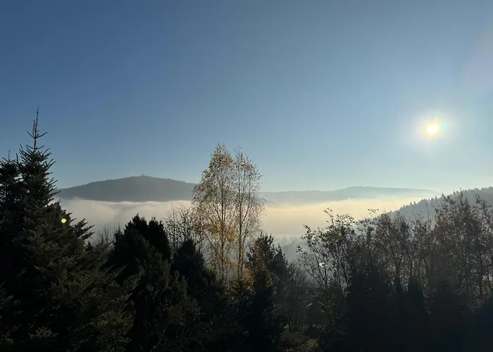 Dom W Gorach Saganowka Beskidy Międzybrodzie Bialskie