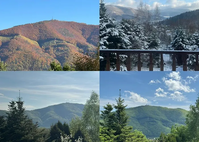 ヴィラ Dom W Gorach Saganowka Beskidy *