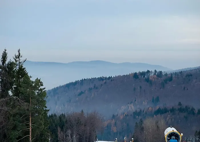 Dom W Gorach Saganowka Beskidy Miedzybrodzie Bialskie